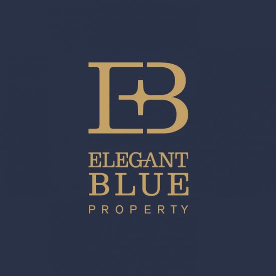 Elegant blue logo